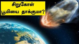 Corona Rumours க ணம க ப ல ச ர யம க ட த தவர கள பல Covid 19 க ர ன வதந த கள Quick Line News